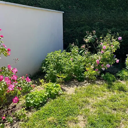 La Roseraie Oda ve Kahvaltı