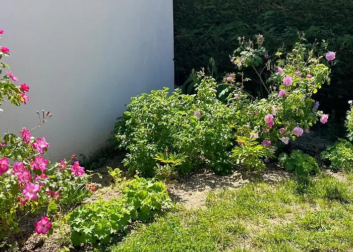 La Roseraie Oda ve Kahvaltı