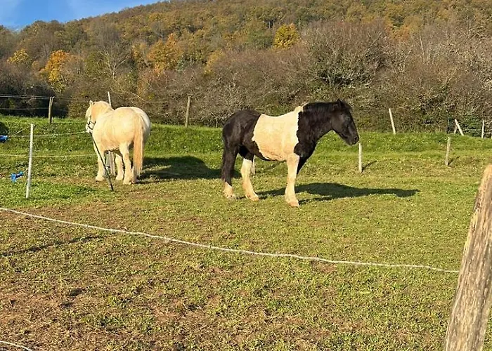 La Roseraie 3*